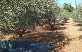 Grundstück in Valtura, Kroatien. 90 000 €