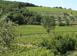 Investitionsgrundstück in Montalcino, Italien. 6 000 000 €