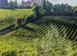 Investitionsgrundstück in Greve in Chianti, Italien. 4 500 000 €