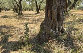 Grundstück in Brtonigla, Kroatien. 230 000 €
