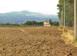 Investitionsgrundstück in Grosseto, Italien. 3 600 000 €